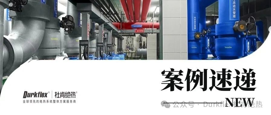 币游国际绝热案例快递